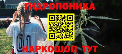 ECSTASY Можга