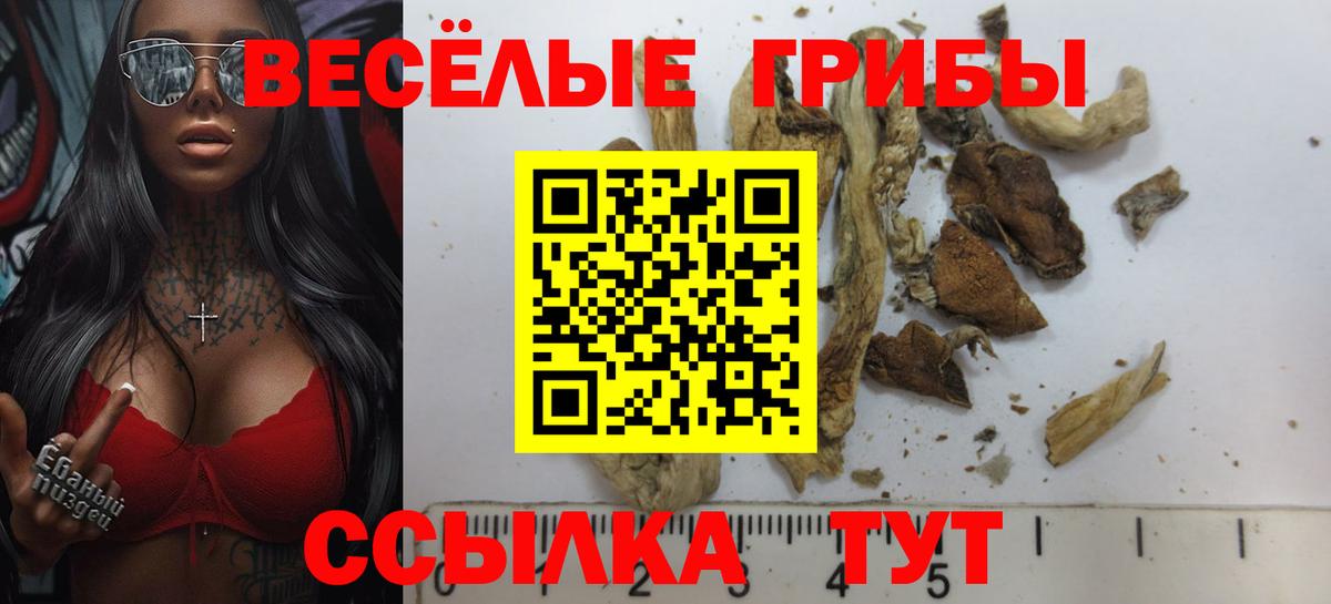 где продают   Вход с VPN  Семёнов  Галлюциногенные грибы MAGIC MUSHROOMS  Псилоцибиновые грибы GOLDEN TEACHER 
